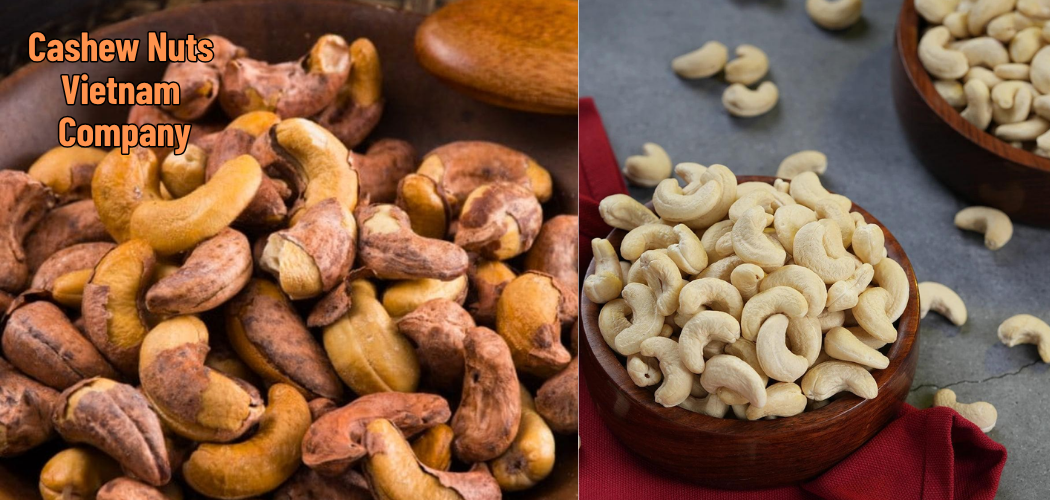 Cashew Nuts Vietnam Company