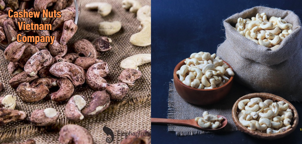 Cashew Nuts Vietnam Company