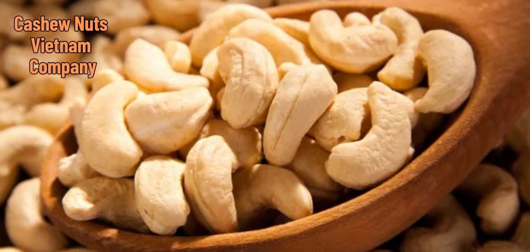 Cashew Nuts Vietnam Company
